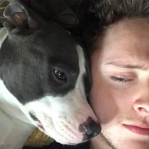 Meet your Posher, Logan